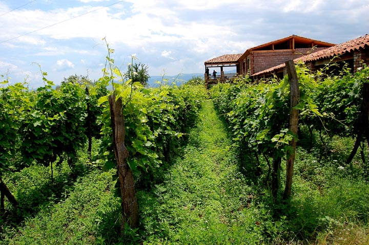 004-georgian-wine-garden.jpg