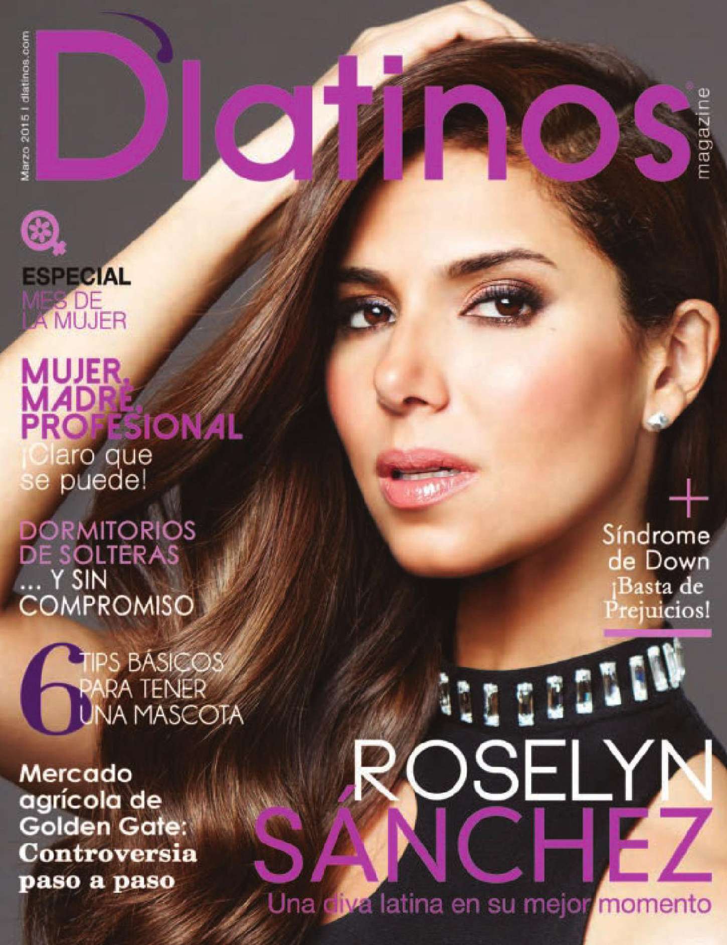 Roselyn-Sanchez_-DLatinos-Magazine-2015--03.jpg